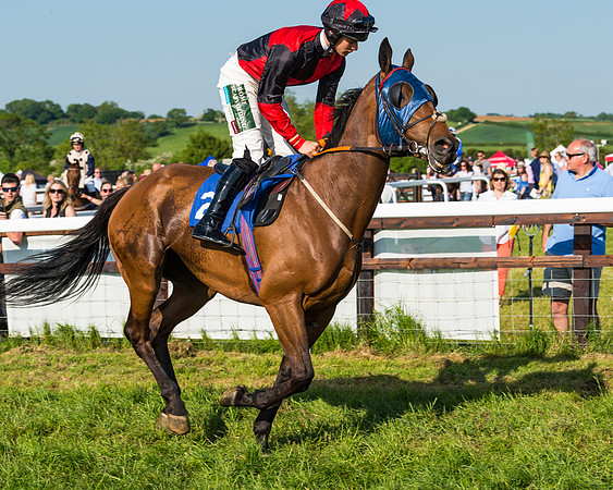 Edgcote Races