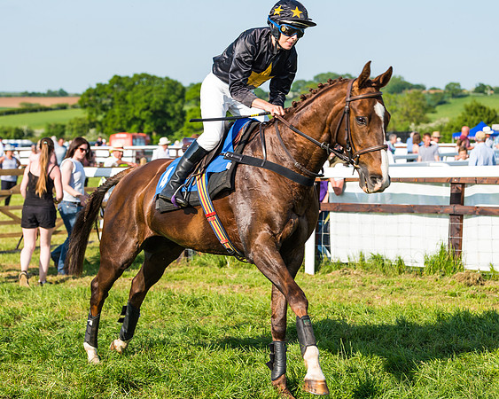 Edgcote Races