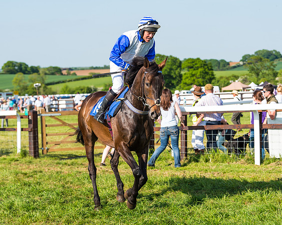 Edgcote Races