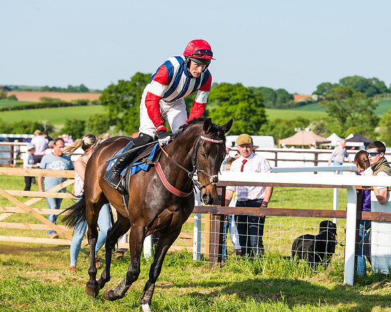Edgcote Races
