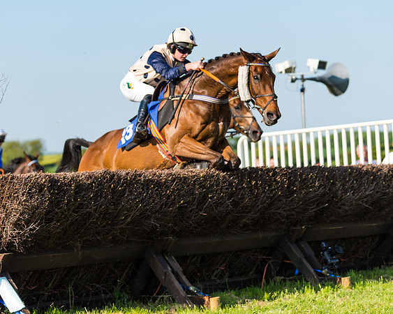 Edgcote Races