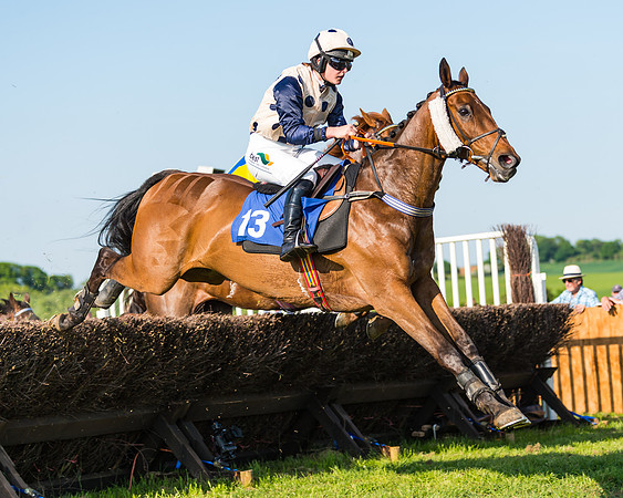 Edgcote Races