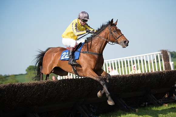 Edgcote Races
