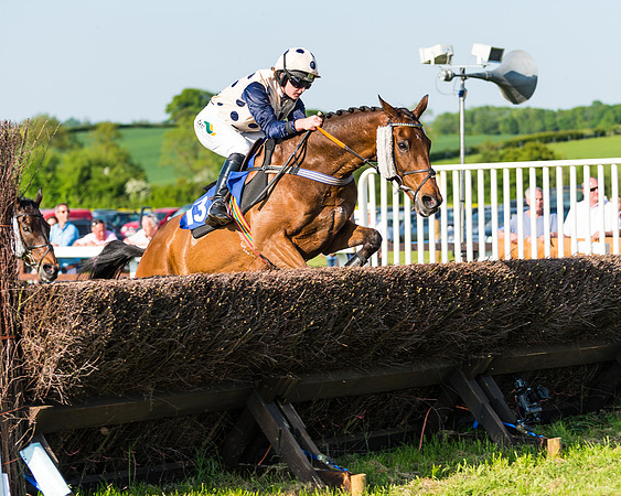 Edgcote Races
