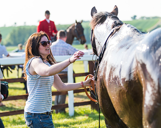 Edgcote Races