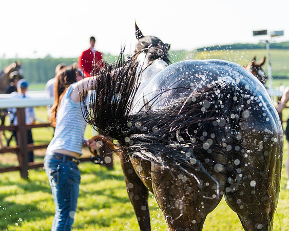Edgcote Races