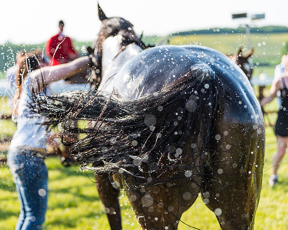 Edgcote Races