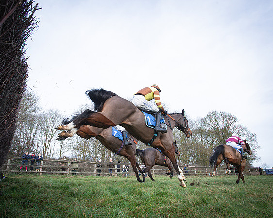 Race 1 - All Is True - Jack Andrews (9 of 38)