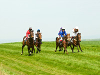 Ponies and Hounds 4