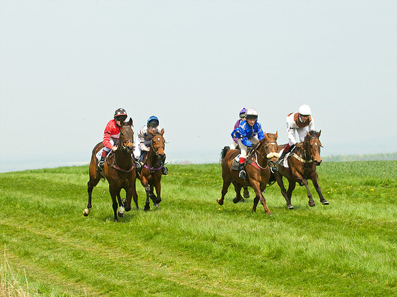 Ponies and Hounds 4