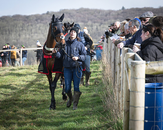 Race 1 - Four and Five year Old Maiden (15 of 137)