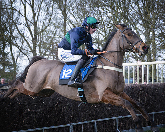 Race 2 - Maiden (91 of 145)