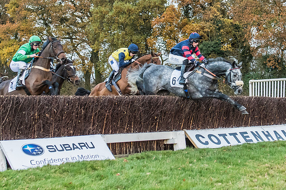 2 Mile 4 Furlong Maiden Race -12