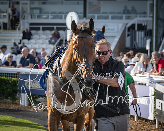 Race 4 - Peretemps Stratford Foxhunters (11 of 168)