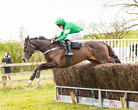 Race 6 - 6 year old and over Maiden 2m4f (46 of 62)