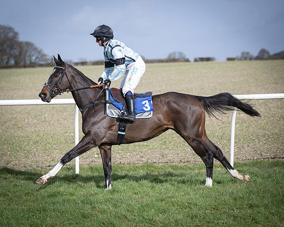 Race 3 - The Maiden Conditions (69 of 214)