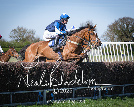 Race 6 - Veteran horse (50 of 109)