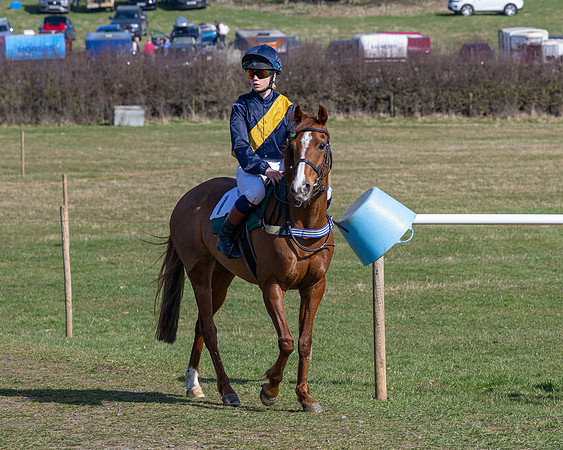 Pony Race 2 - 138cm (5 of 65)