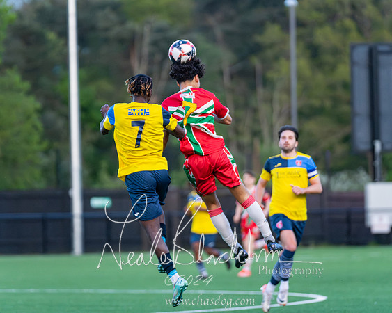 Windsor v Langley (94 of 235)