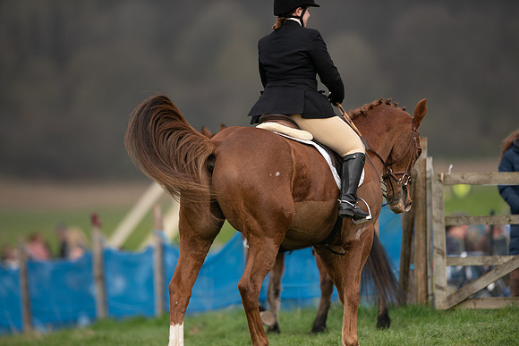 Race 4 - Novice Riders (3 of 112)