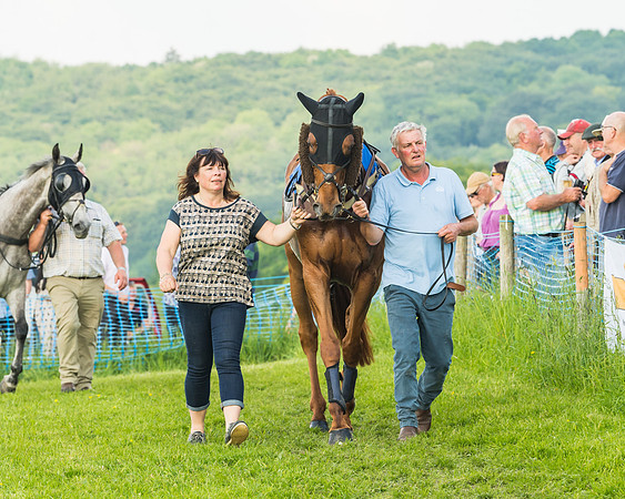 Race 5 - Restricted Race (4 of 74)
