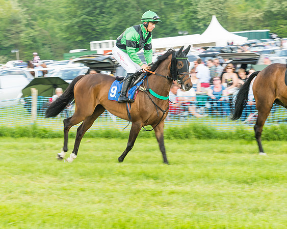 Race 5 - Restricted Race (13 of 74)