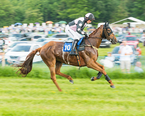 Race 5 - Restricted Race (15 of 74)