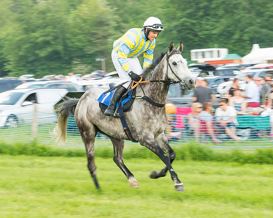 Race 5 - Restricted Race (16 of 74)