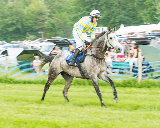 Race 5 - Restricted Race (17 of 74)