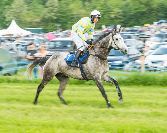 Race 5 - Restricted Race (18 of 74)