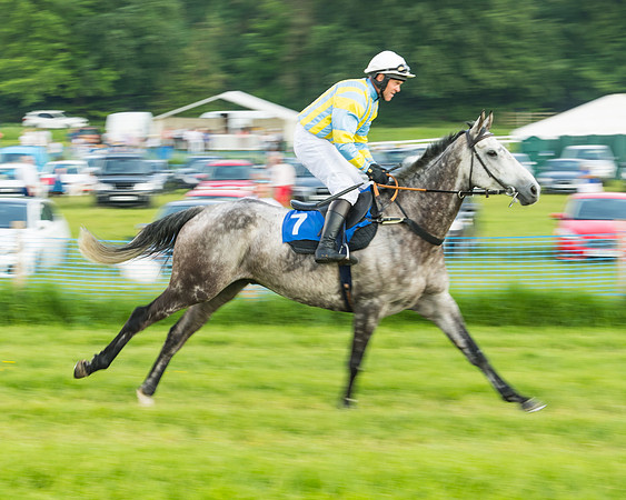 Race 5 - Restricted Race (19 of 74)