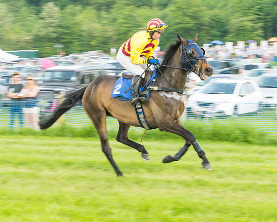 Race 5 - Restricted Race (20 of 74)