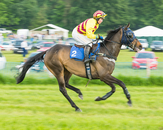 Race 5 - Restricted Race (21 of 74)