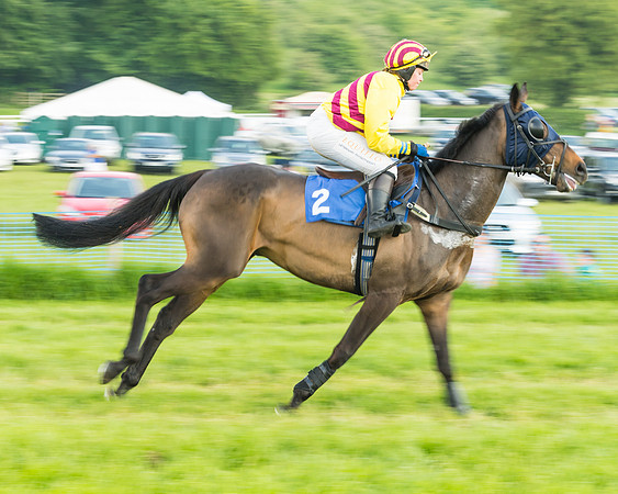 Race 5 - Restricted Race (22 of 74)