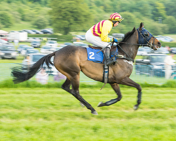 Race 5 - Restricted Race (23 of 74)