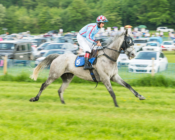 Race 5 - Restricted Race (24 of 74)