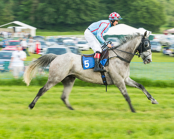 Race 5 - Restricted Race (25 of 74)