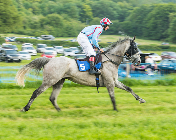 Race 5 - Restricted Race (26 of 74)