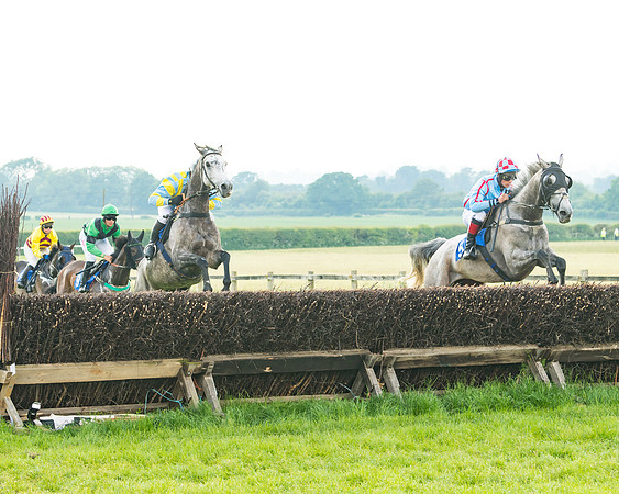 Race 5 - Restricted Race (28 of 74)