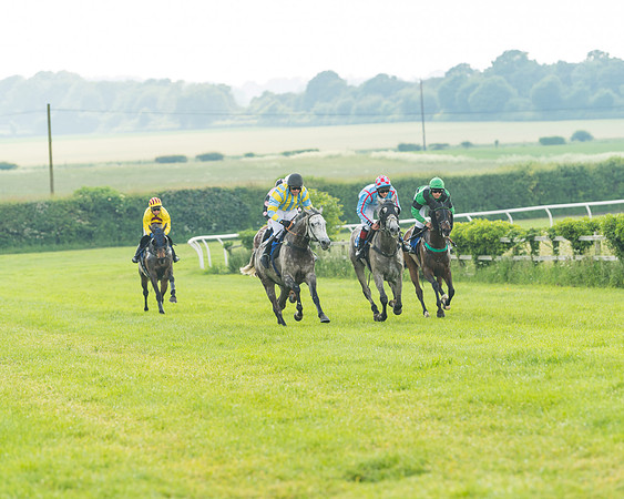 Race 5 - Restricted Race (40 of 74)