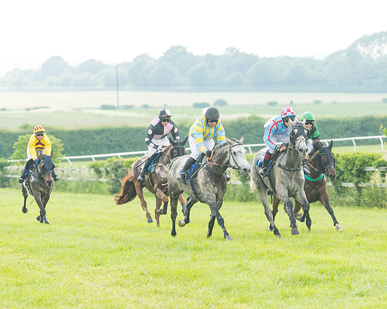 Race 5 - Restricted Race (41 of 74)