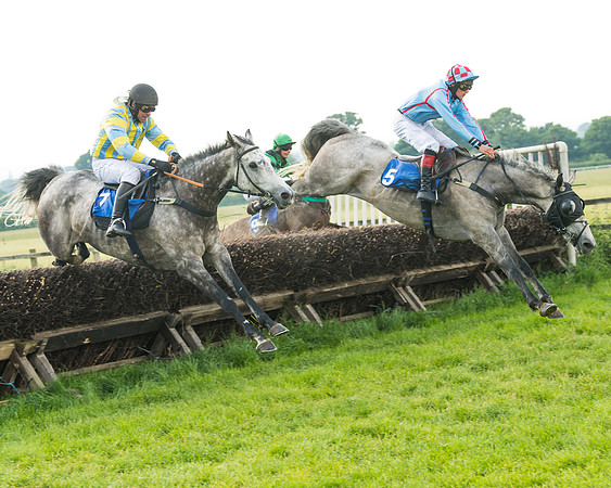 Race 5 - Restricted Race (44 of 74)