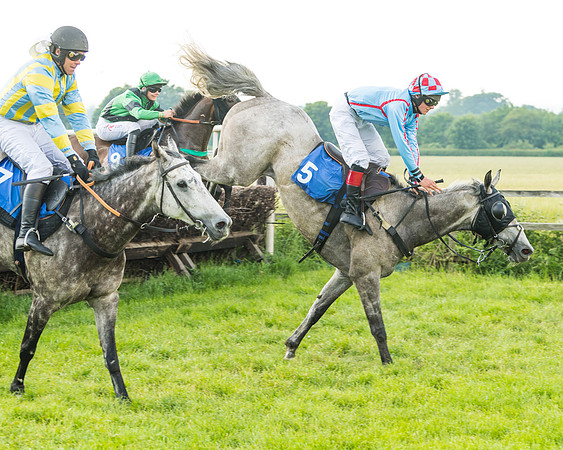 Race 5 - Restricted Race (45 of 74)