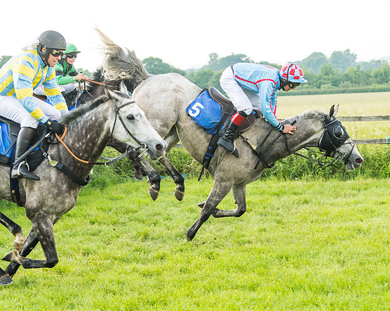Race 5 - Restricted Race (46 of 74)