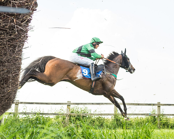 Race 5 - Restricted Race (49 of 74)