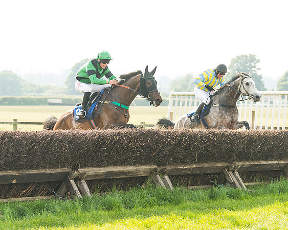 Race 5 - Restricted Race (50 of 74)