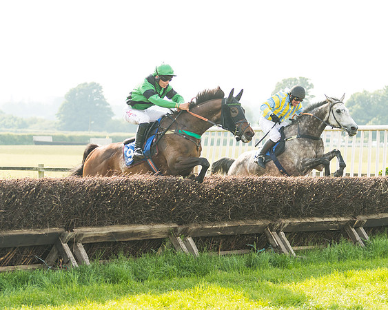 Race 5 - Restricted Race (51 of 74)