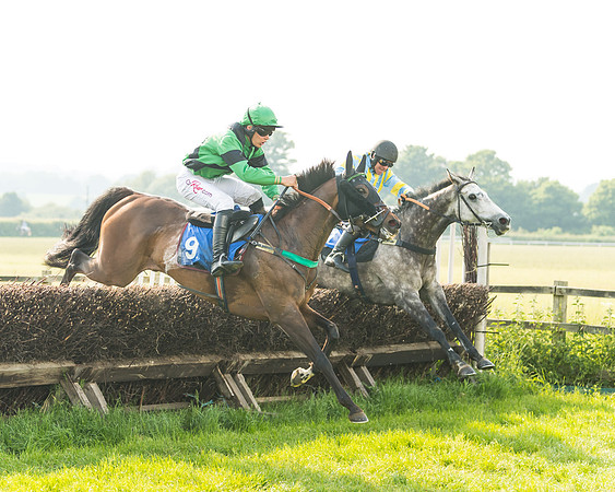 Race 5 - Restricted Race (53 of 74)