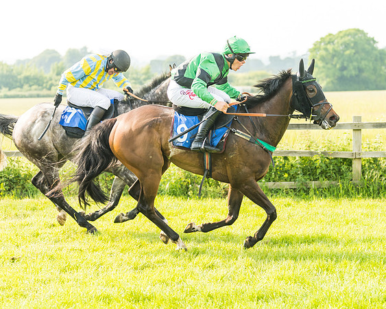 Race 5 - Restricted Race (55 of 74)
