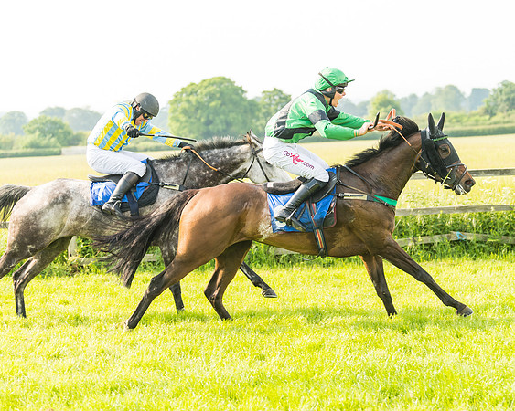 Race 5 - Restricted Race (56 of 74)